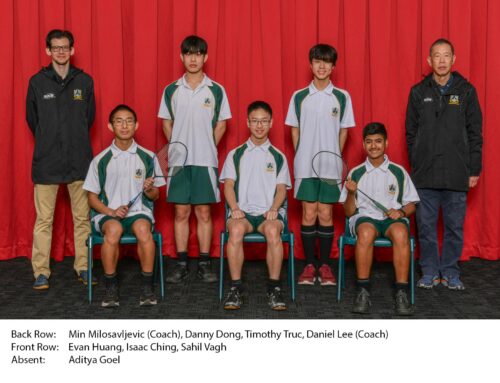 Badminton Lynfield Blue