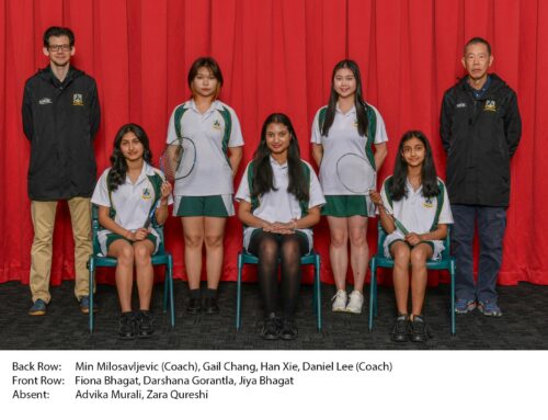 Badminton Lynfield Gold